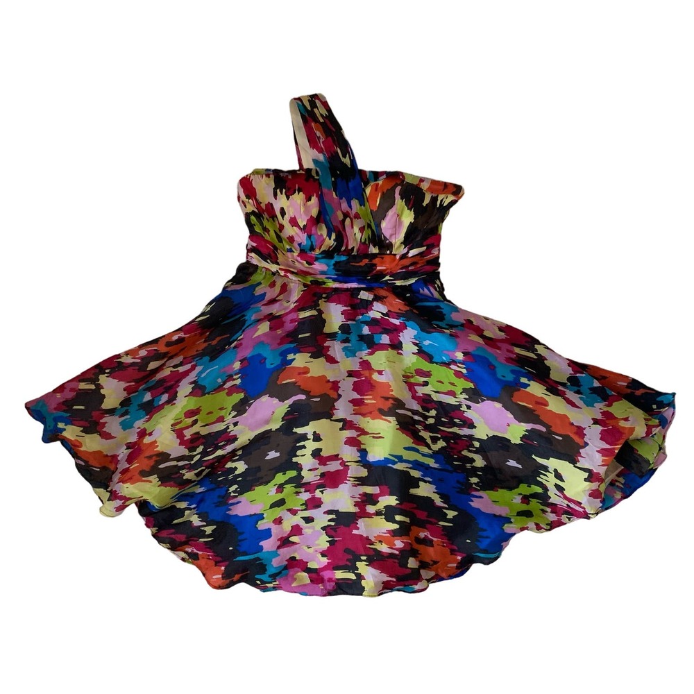 Multicolor Fit and Flare Dress - Picture 6 of 9